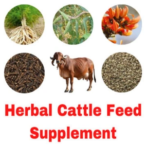 1746794630_Cattle Feed Supplements.webp